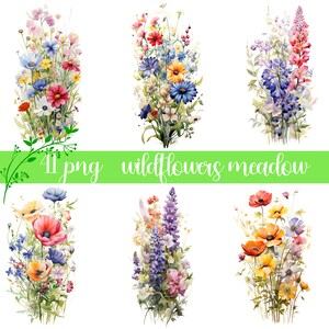 Wildblumen Wiese Clipart PNG, Sommer Blumen Natur Bilder, Wildblumen für Druck, Collage, Scrapbook, Junk Journal, freie kommerzielle Nutzung