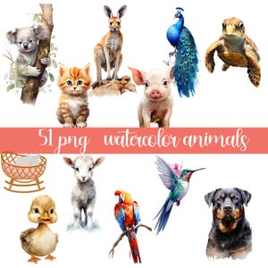Safari animals clipart bundle, watercolor, jungle safari, baby safari animals PNG, safari clipart, baby shower, commercial use, nursery