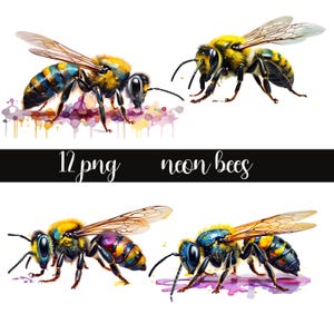 Neon Bienen, Clipart Bienen, Basteln, Scrapbooking, kommerzielle Nutzung, Instant Download
