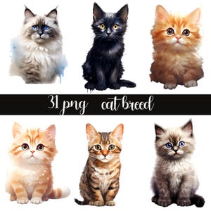 Cat Breeds Clipart Bundle, Cats Clipart, Pet Animals Clipart, Watercolor Cat Graphics, Cats PNG, Instant Download, Commercial Use, clipart