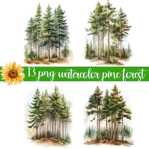 Clipart forêt de pins, arbres à feuilles persistantes Nature paysage, pins, téléchargement numérique PNG, clipart aquarelle imprimable, journal indésirable