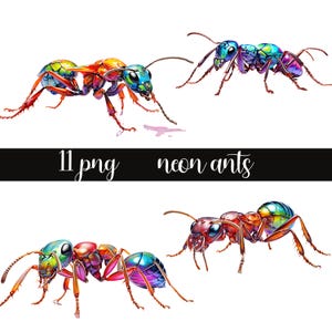 Neon Ameisen, Clipart, kommerzielle Nutzung, Scrapbooking, kommerzielle Nutzung, Instant Download
