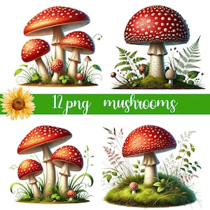 Clipart champignons aquarelle mignon forêt nature champignon vénéneux clip art format PNG téléchargement immédiat pour un usage commercial