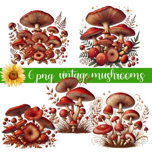 Aquarelle vintage champignons Clipart mignon forêt nature champignon vénéneux clip art format PNG Téléchargement instantané pour un usage commercial, amoureux de la nature