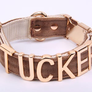 Velvet Dog Collar with Gold Letters | Personalized Collar & Leash Options | Sizes S, M, L - Moss Green , Dog Collar and Leash Set.
