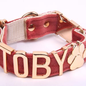Velvet Personalized Dog Collar | Custom Name Collar with Gold Letters & Leash Set | Sizes S, M, L , Rose Color , Dog Collar, Dog Lesh