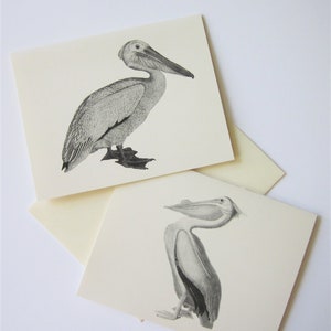 Set di carte note Pelican da 10 con buste abbinate