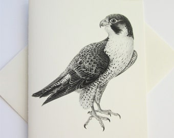 Falcon Note Cards Stationery Set of 10 Cards in White or Light Ivory with Matching Envelopes