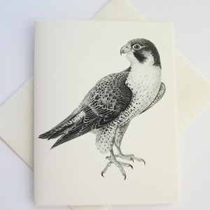 Conjunto de papelaria Falcon Note Cards com 10 cartões em branco ou marfim claro com envelopes correspondentes