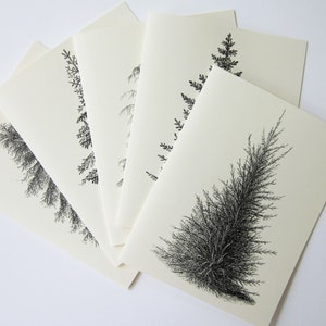 Set di 10 biglietti di auguri con albero di pino in bianco o avorio chiaro con buste abbinate 5 immagini