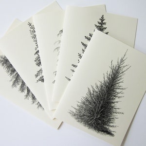 Pine Tree Note Card Set of 10 in White or Light Ivory with Matching Envelopes 5 Images