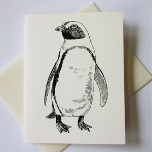 Penguin Note Cards Juego de papelería de 10 tarjetas