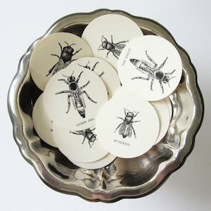 Scientific Bee Tags Round Paper Gift Tags Set of 10