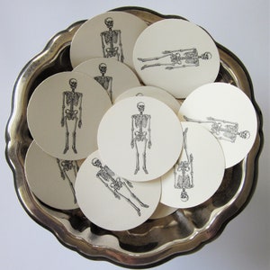 Skeleton Tags Round Paper Gift Tags Set of 10