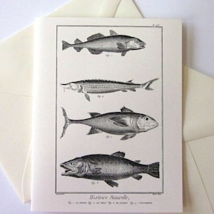 Cartas de notas de pescado Juego de 10 cartas en blanco o marfil claro con sobres a juego