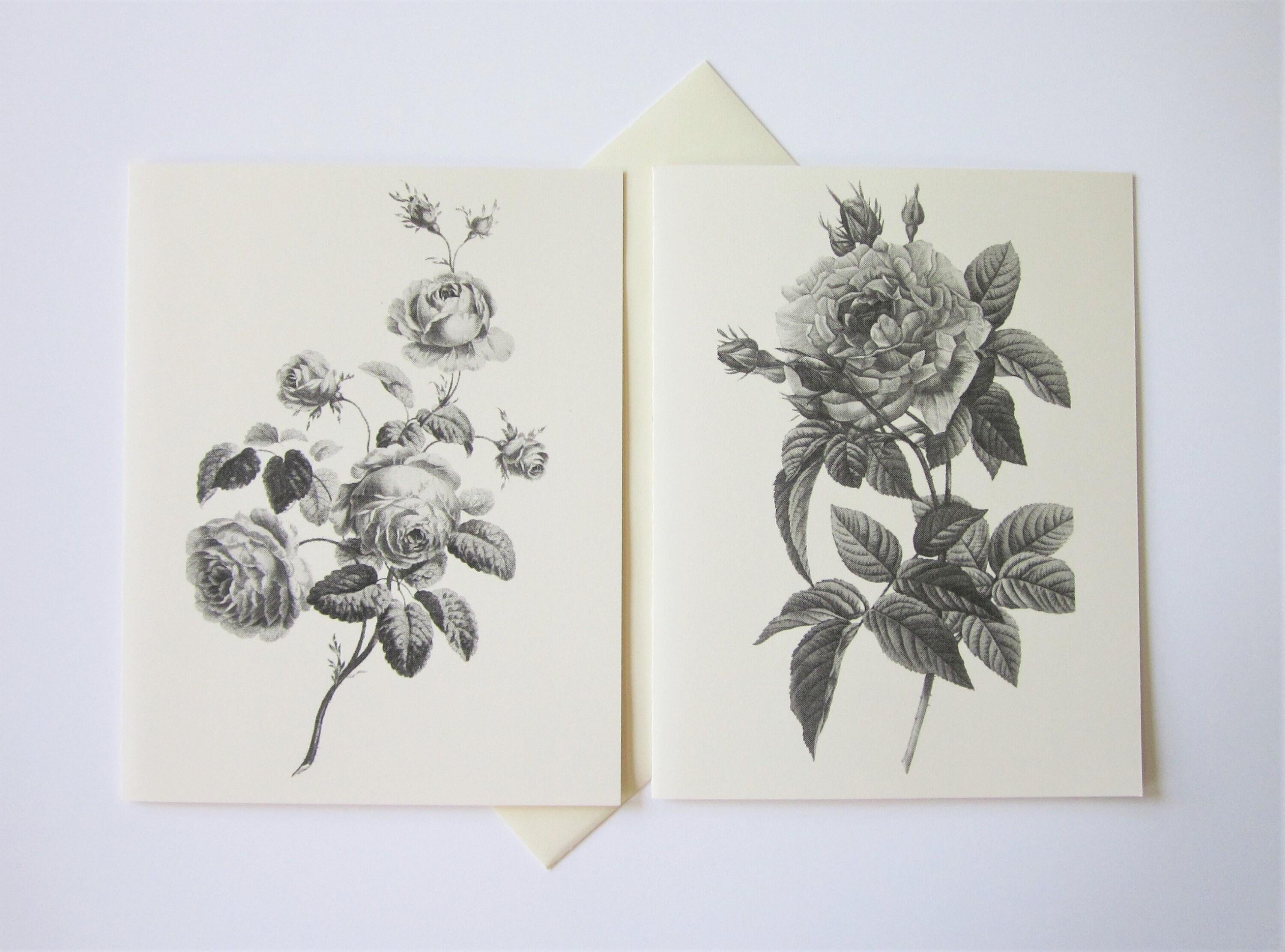 Rose Flower Floral Note Cards Stationery Set of 10 Cards in White or ...