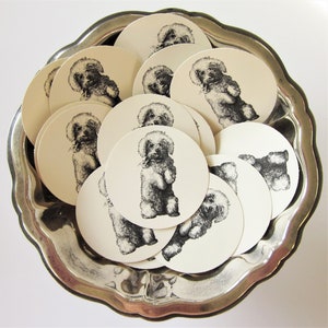 Puppy Poodle Shaggy Dog Tags Round Paper Gift Tags Set of 10