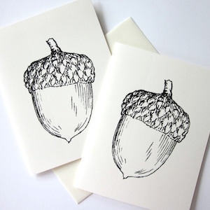 May include: Two blank greeting cards with a black and white illustration of an acorn on each card.
