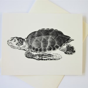 Sea Turtle Note Cards Stationery Set of 10 Cards in White or Light Ivory with Matching Envelopes