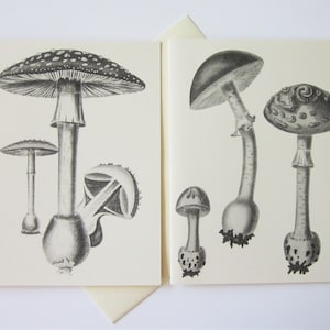 Zestaw 12 kartek z notatkami Mushroom Note Cards w kolorze białym lub jasno-kości słoniowej z pasującymi kopertami
