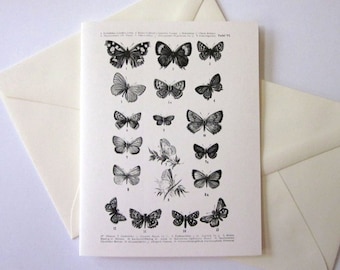 Ensemble de cartes de note papillon de 10 avec enveloppes assorties