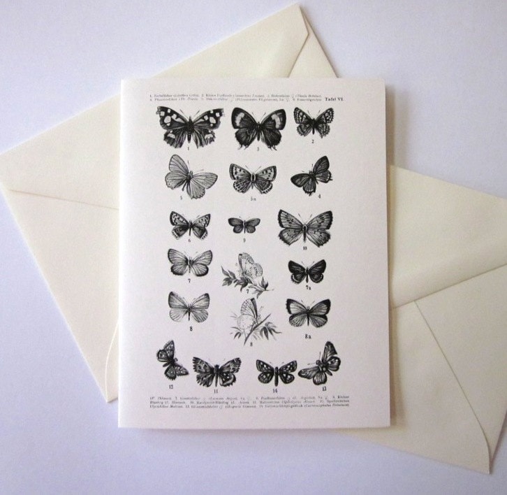 Butterfly Note Cards Set of 10 With Matching Envelopes - Etsy
