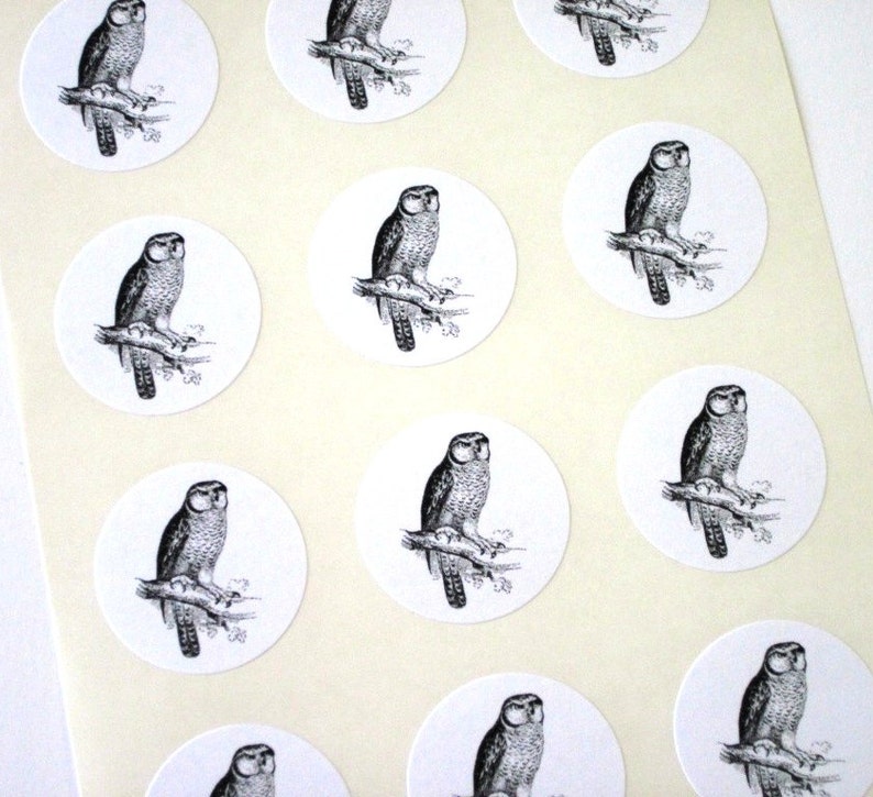 Owl Stickers One Inch Round Seals image 2