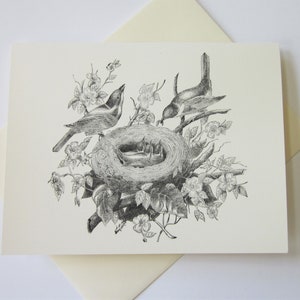Bird Nest Note Kaarten Set van 10 met bijpassende enveloppen