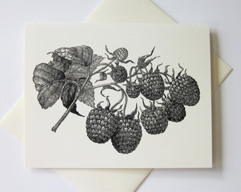 Berries Raspberry Blackberry Note Cards Set of 10 with Matching Envelopes