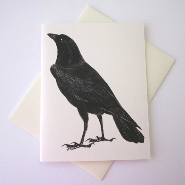 Black Raven Crow Note Card Set of 10 in White or Light Ivory with Matching Envelopes