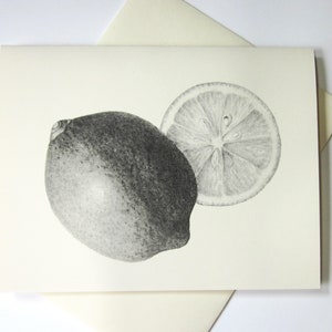 Lemon Lime Fruit Note Cards Set of 10 with Matching Envelopes