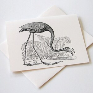 May include: Black and white illustration of a flamingo standing in a marsh with ferns. The flamingo is bending its neck down to drink water.