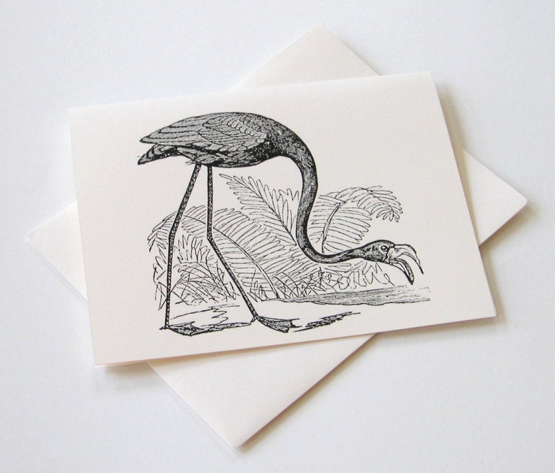 May include: Black and white illustration of a flamingo standing in a marsh with ferns. The flamingo is bending its neck down to drink water.