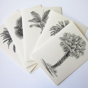 Ensemble de carte de note de palmier de 10 en ivoire blanc ou léger avec enveloppes assorties