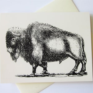 Juego de cartas de bisonte de 10 en blanco o marfil claro con sobres a juego