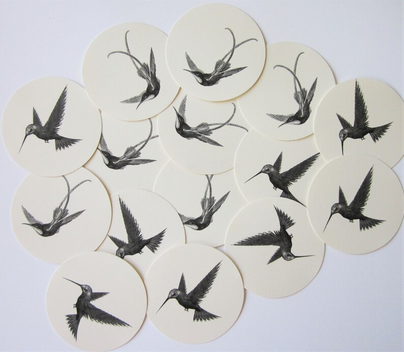 Tag colibrì Tag rotondi Tag regalo Set di 10 immagine 2