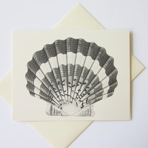 Scalloped Shell Note Card Set of 10 in White or Light Ivory with Matching Envelopes