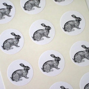 Konijn Stickers Een Inch Ronde Zeehonden
