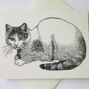 Cat Note Cards Stationery Set of 10 Cards in White or Light Ivory with Matching Envelopes