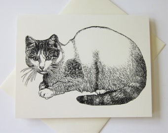 Cat Note Cards Stationery Set of 10 Cards in White or Light Ivory with Matching Envelopes