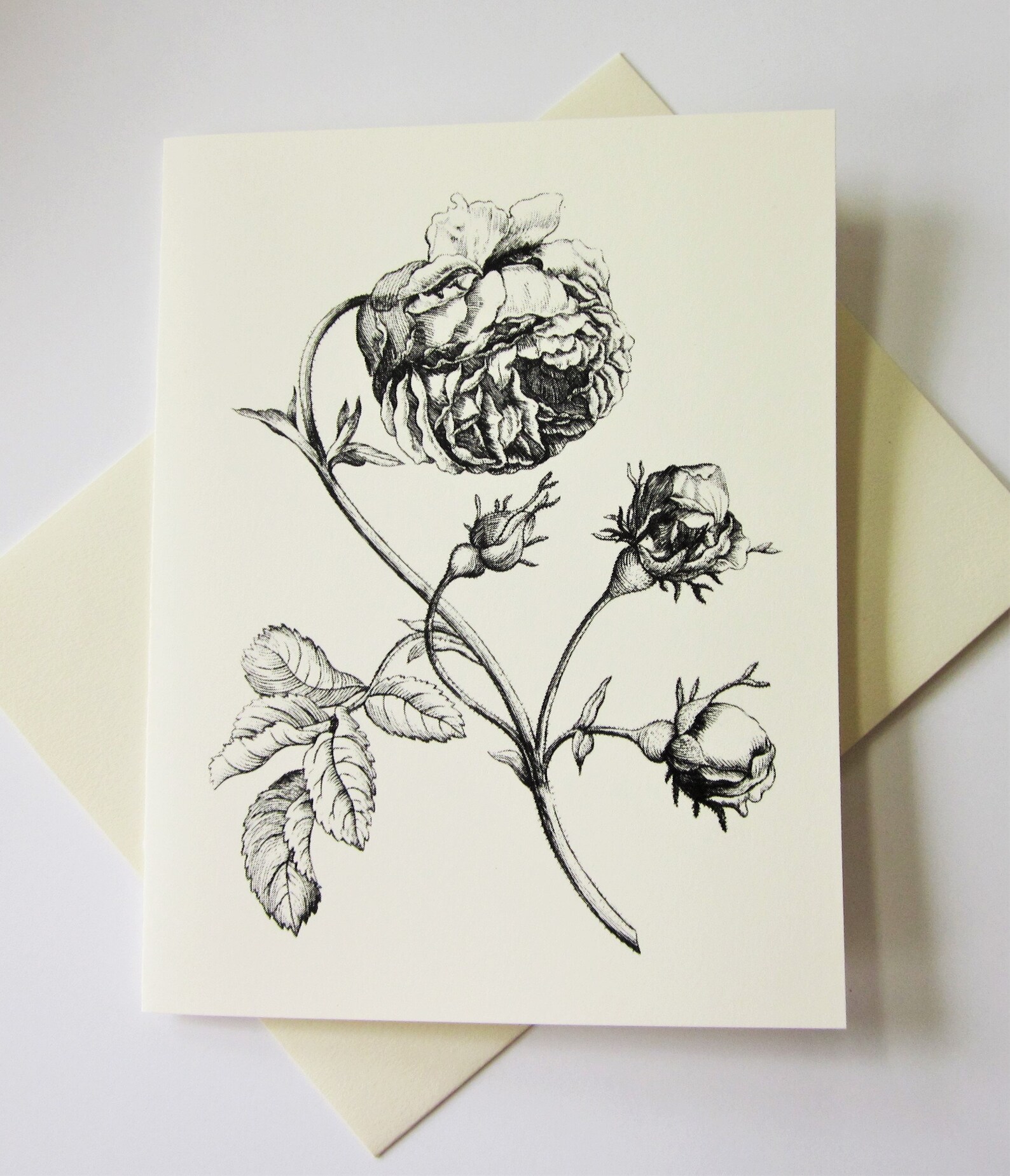 Peony Flower Note Cards Stationery Set of 10 Cards in White or Light ...