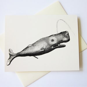 Cartas de notas de ballena Juego de 10 cartas en blanco o marfil claro con sobres a juego