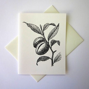 Almond Plant Note Cards Stationery Set of 10 Cards with Matching Envelopes image 3