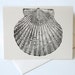 Scalloped Shell Note Cards Stationery Set of 4 Cards in White or Light ...