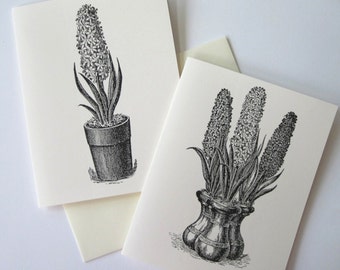 Hyacinth Potted Flower Note Cards Stationery Set of 10 Cards in White or Light Ivory with Matching Envelopes