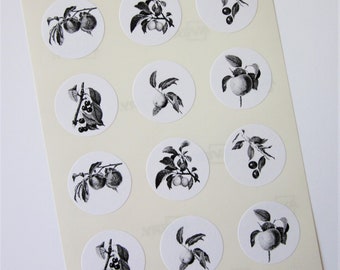 Fruit Stickers One Inch Round Seals