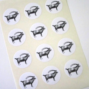 Goat Note Cards Stationery Set of 10 Cards in White or Light Ivory with Matching Envelopes image 4