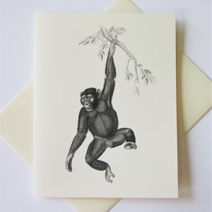 May include: A black and white illustration of a chimpanzee hanging from a tree branch.