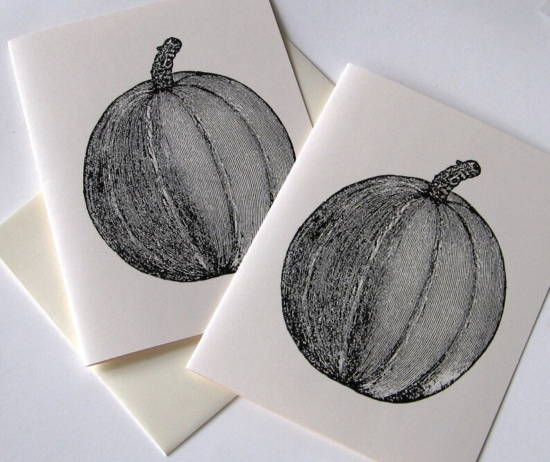 Pumpkin Folded Note Card Set of 10 in White or Ivory with Matching Envelopes image 2