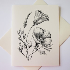 Mohn Mohn Blume Note Karten Set von 10 mit passenden Umschlägen